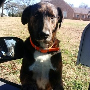 Meet your Posher, Anna-marie